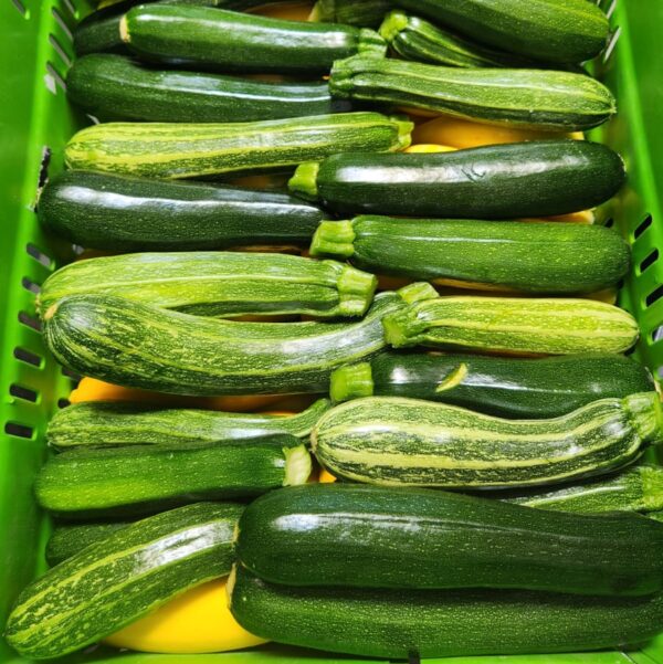 Courgette - Mixed - 500g